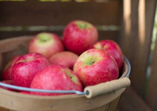 Farm Fresh Organic Pink Lady Apples Stock Photo - Image of orange